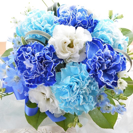 プチ贅沢なアレンジ BlueWhite （カーネーションのフラワー