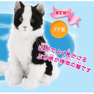 夢ねこスマイル ぶち黒」を販売する通販サイト‐グレートヒーリング.com