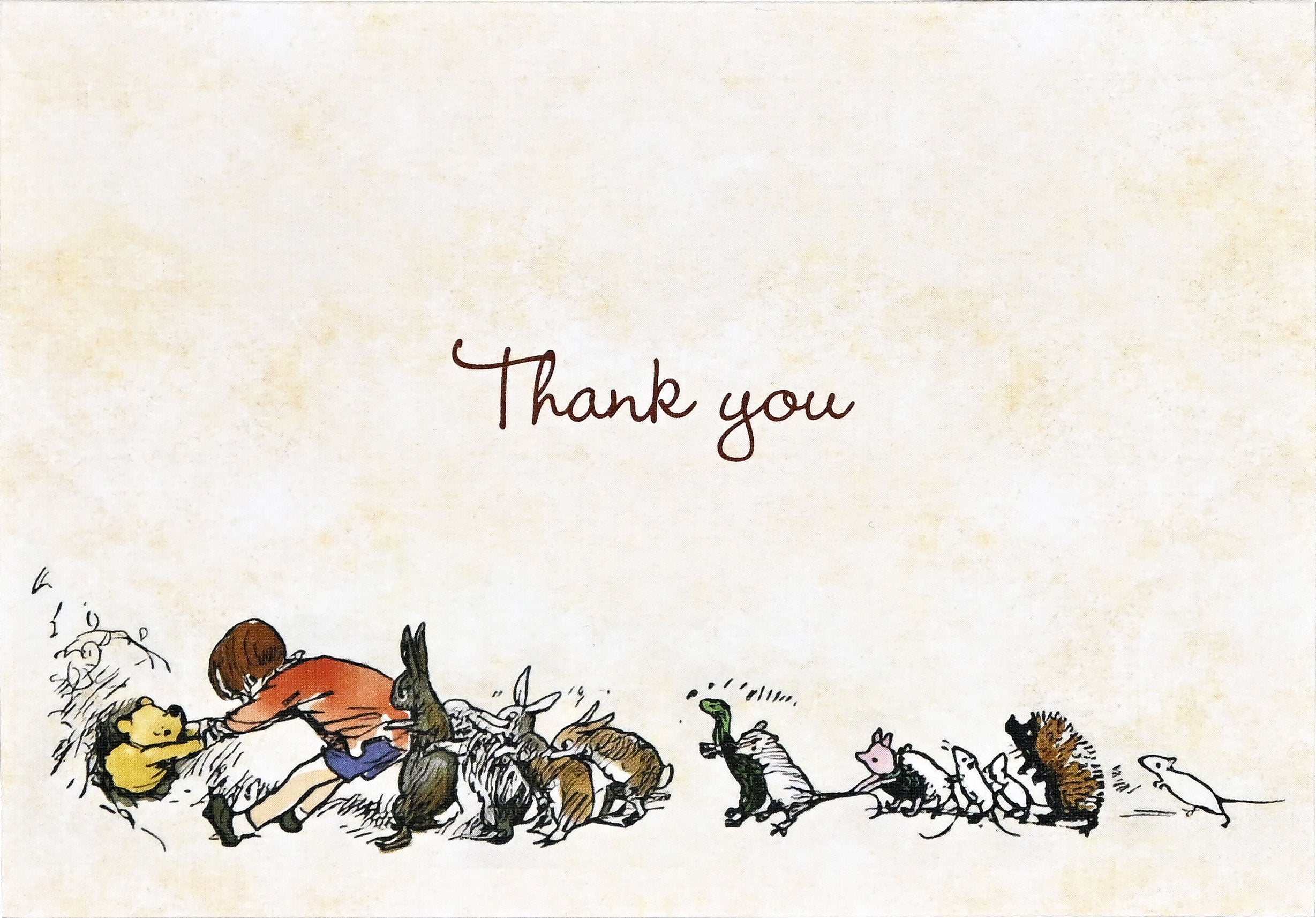Pooh Bear Thank You Notes – Peter Pauper Press