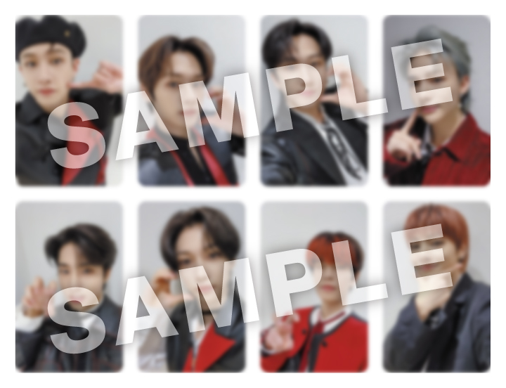 Stray Kids | Info