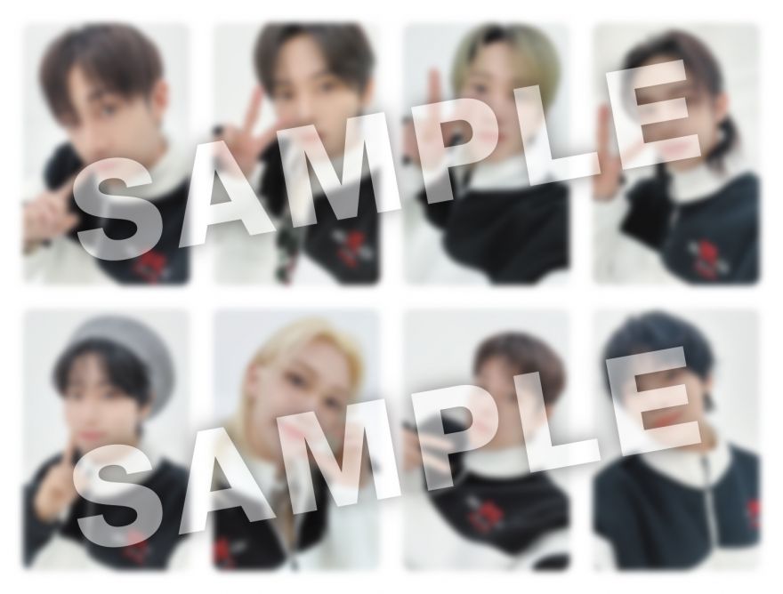 Stray Kids | Info