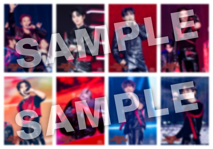 Stray Kids | Info
