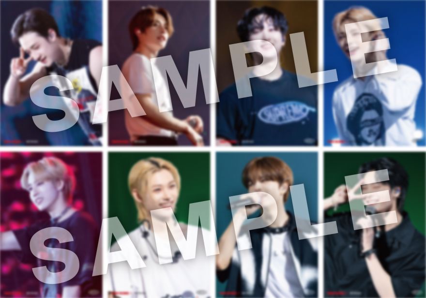 Stray Kids | Info