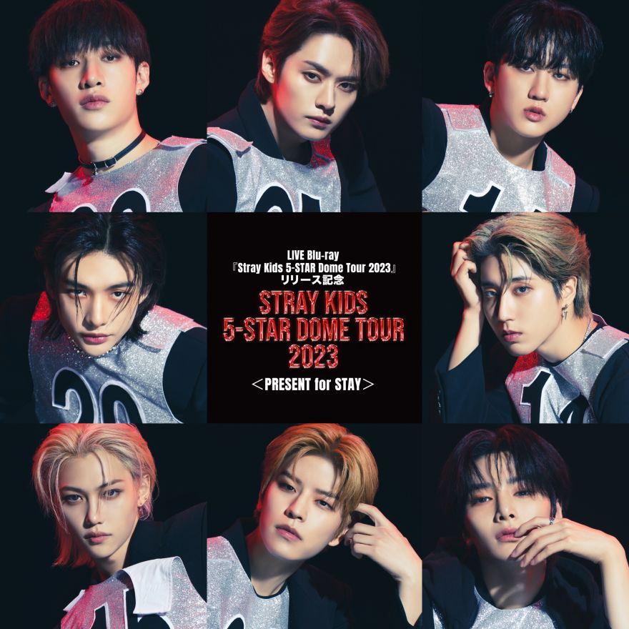 Stray Kids | Info