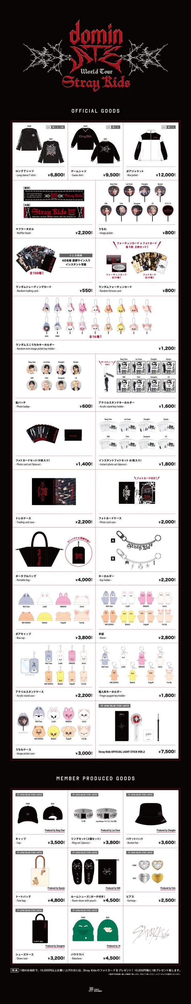 Stray Kids | Info