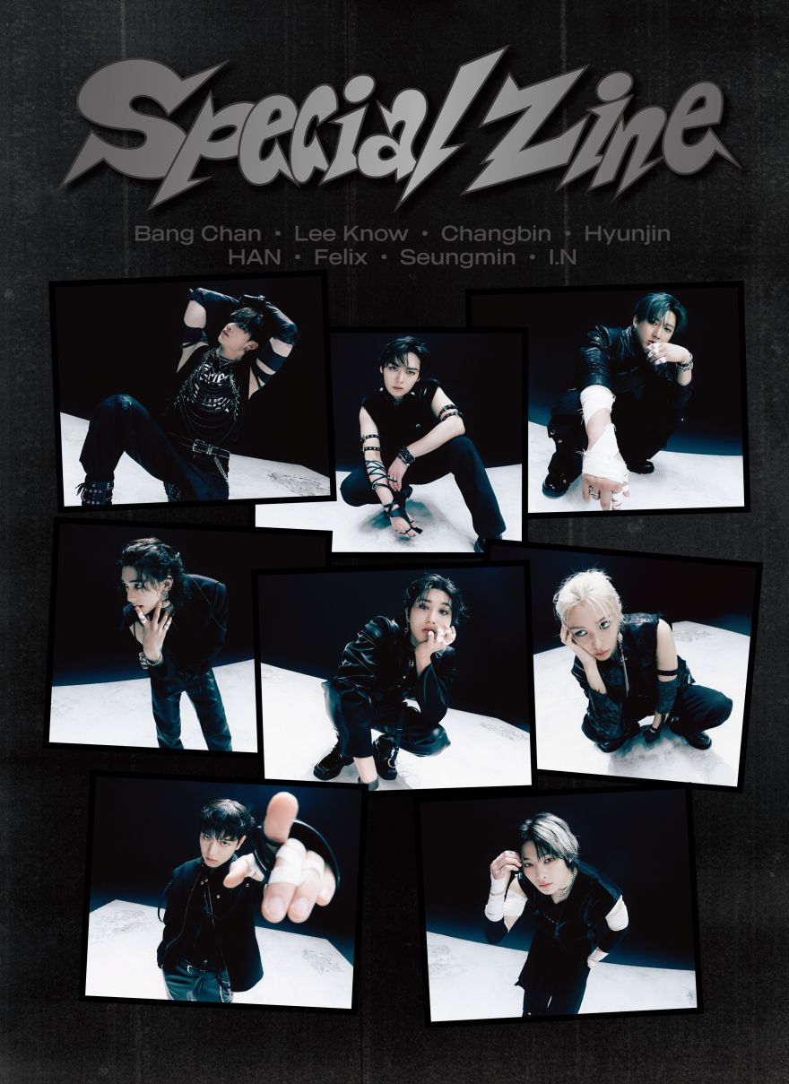 Stray Kids | Info