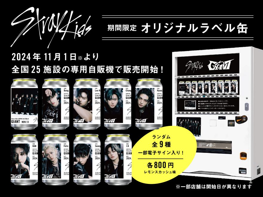Stray Kids | Info