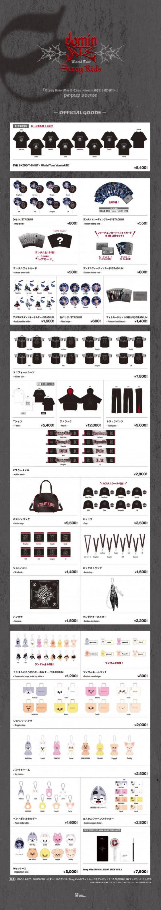 Stray Kids | Info