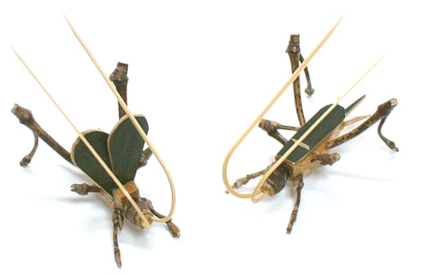 竹細工、虫籠に入ったカマキリ（竹製） 【公式通販】