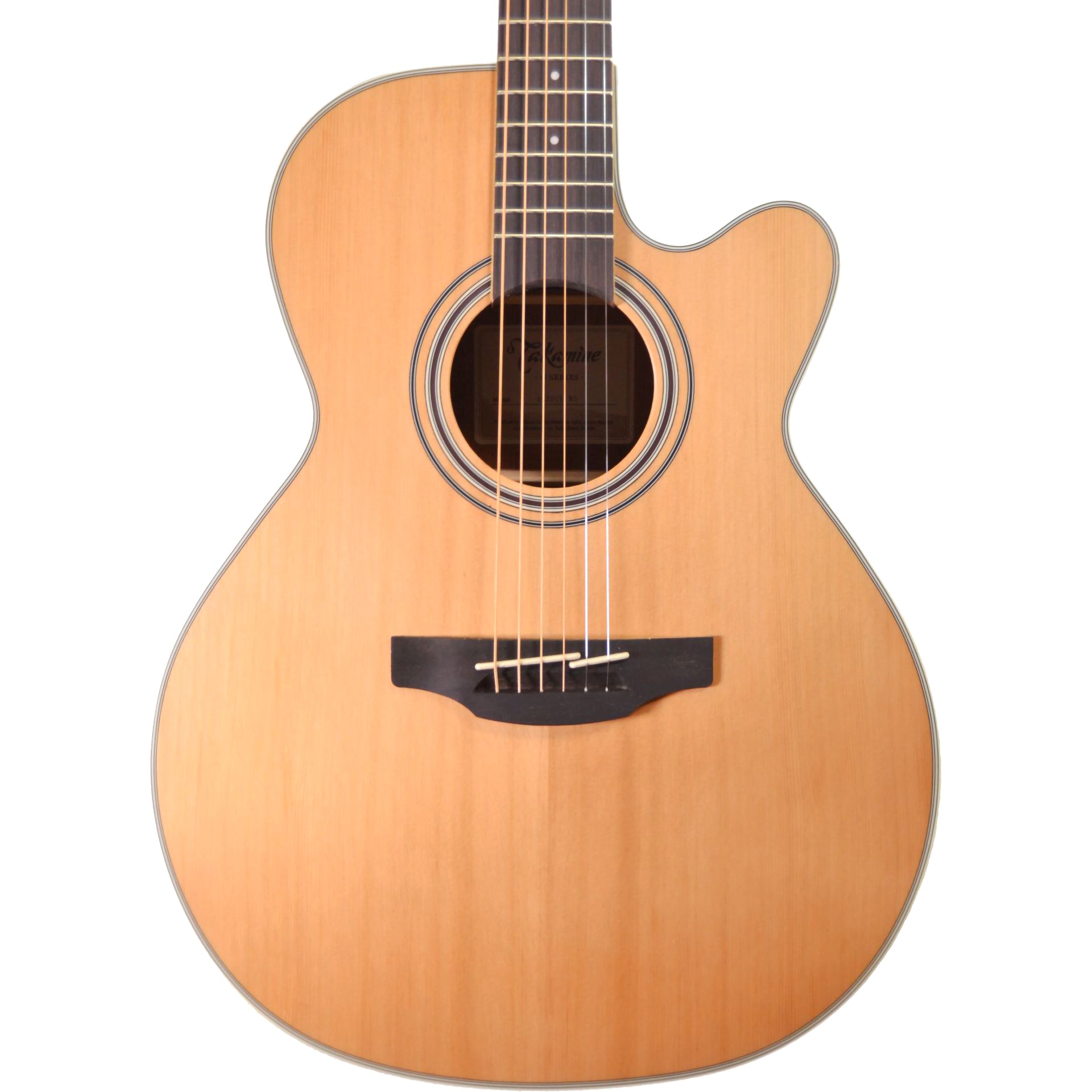 Takamine G Series Nex Acoustic-Electric Guitar – Alto Music