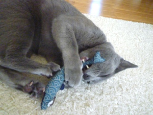 猫のまたたびおもちゃ メザシ 商品詳細｜山葡萄かごバック・猫の