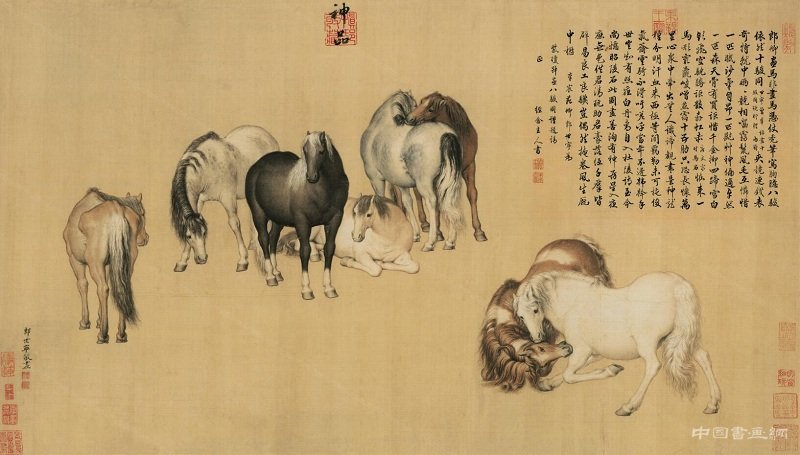 郎世宁《八骏图》 - 中国书画网