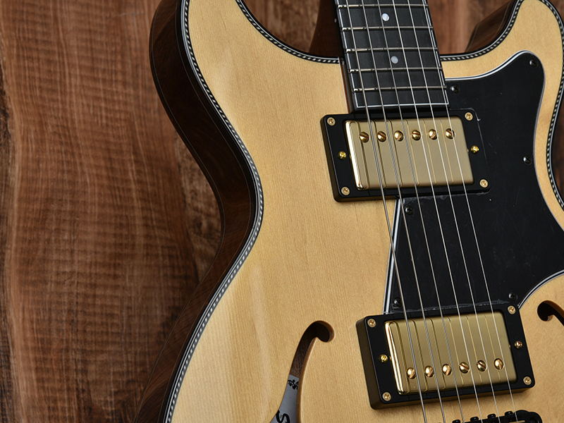The One Day Guitar Show 2020 Renewal Model -ALBATROSS-JAZZ20- Is