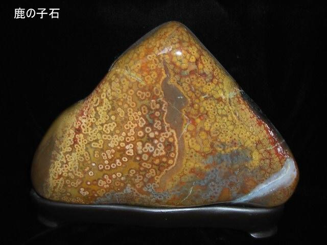 にしき石の種類