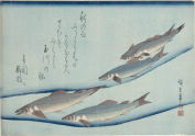 鮎の話