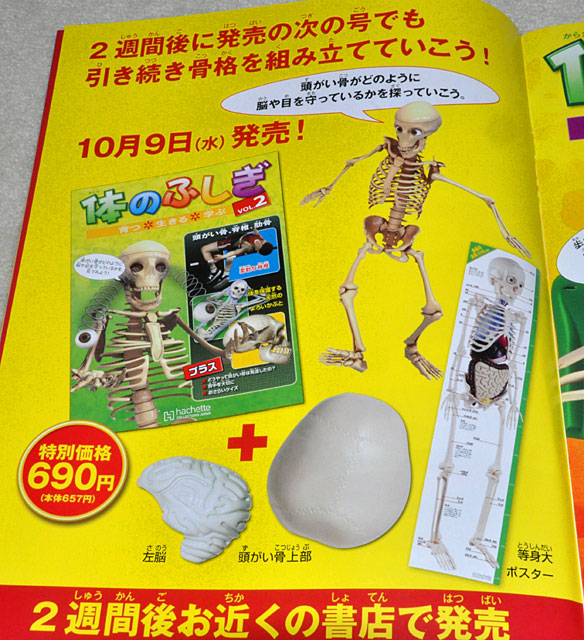 アシェット「体のふしぎ」ついでに買ってしまった創刊号と2号