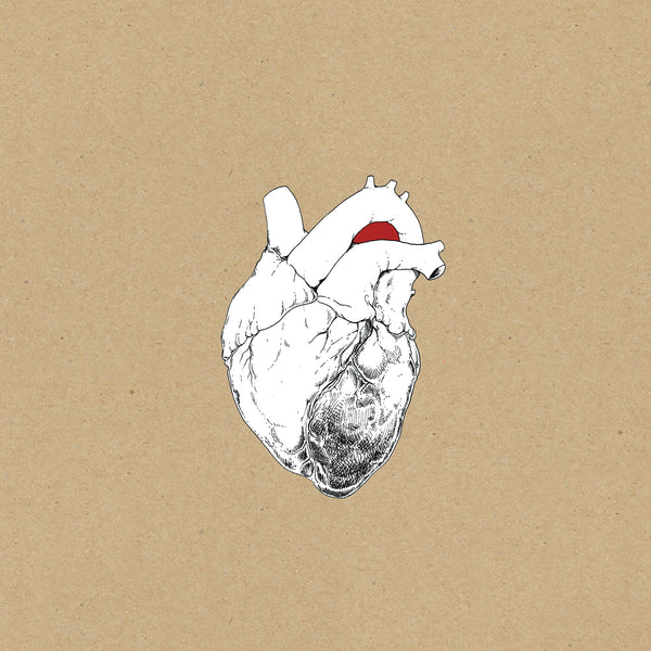 The Beggar – YOUNG GOD RECORDS