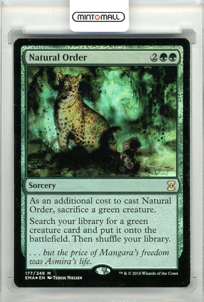 MTG 自然の秩序 Natural Order VIS 英語版 2枚 日本語1枚 MTG