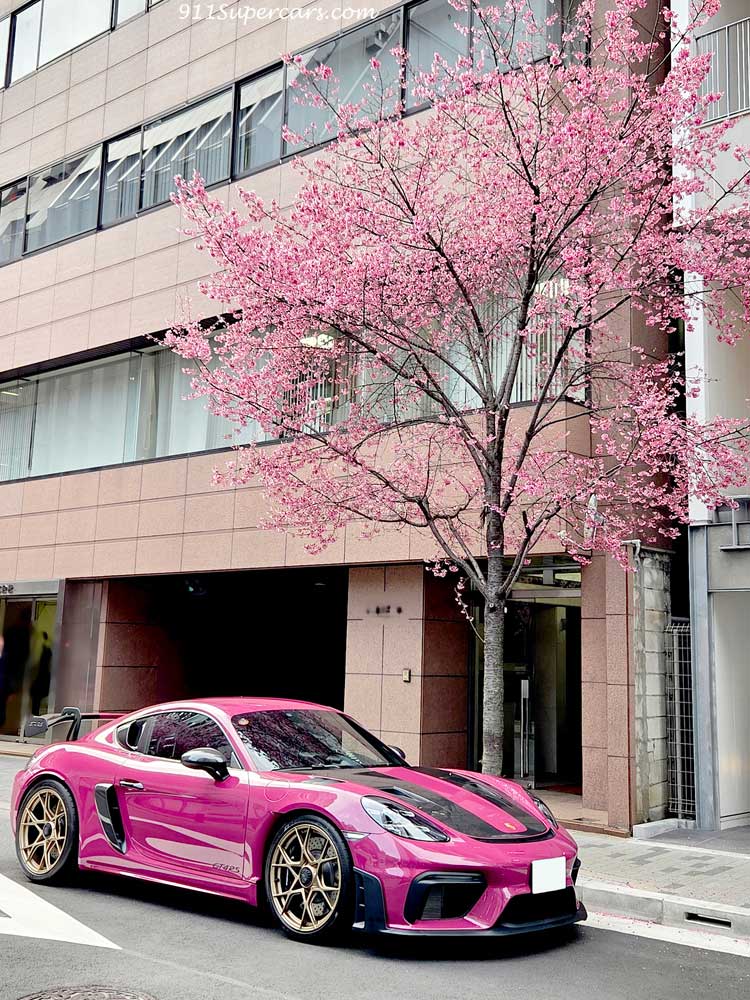 ポルシェ718ケイマンGT4 RSと桜…と奇跡の出会い