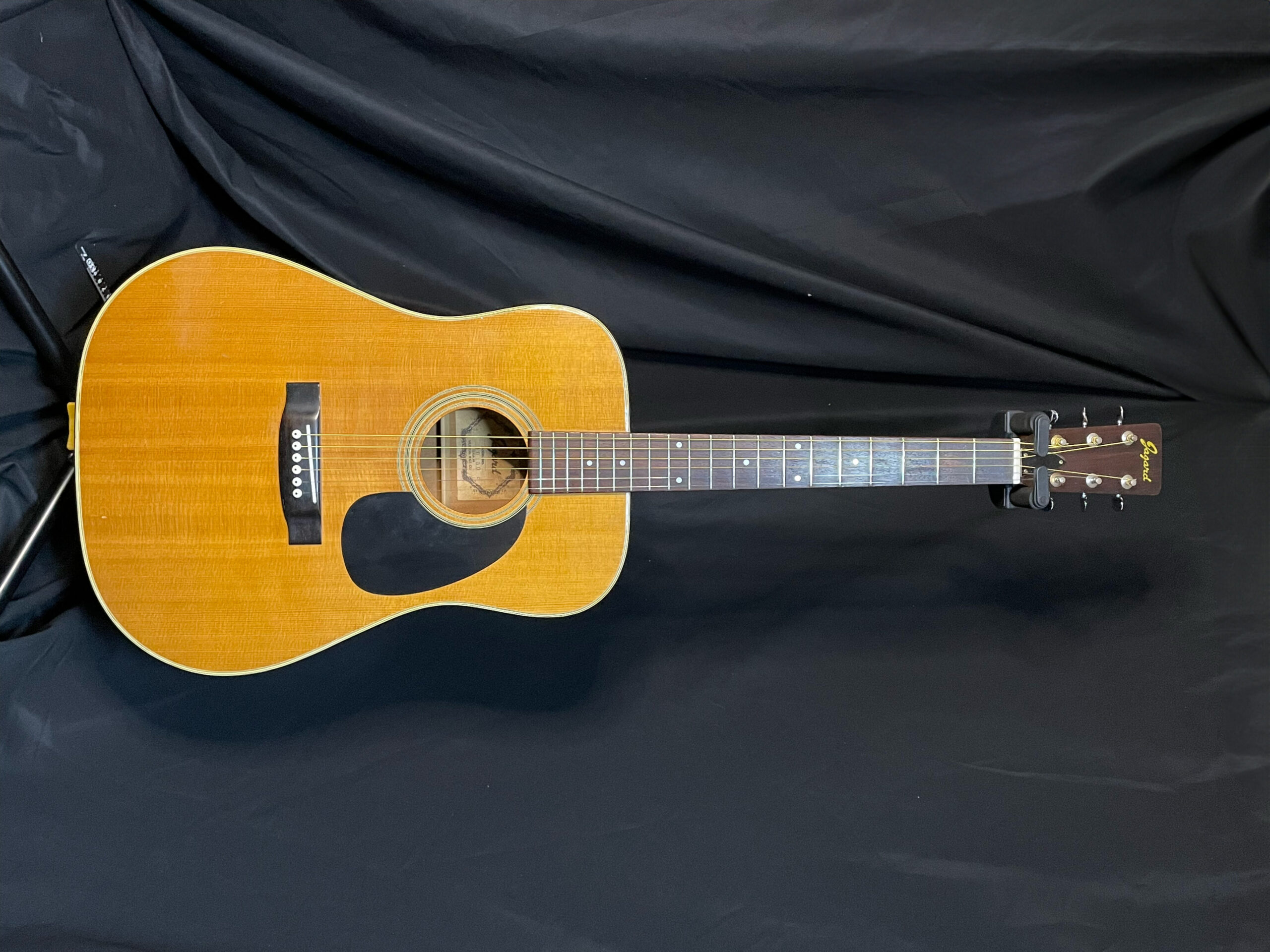 Jagard JD150 – My Guitars