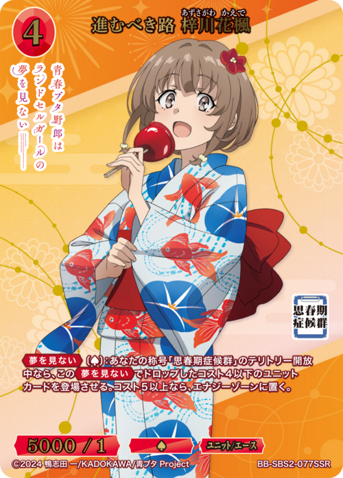 BUILD DIVIDE/Seishun Buta Yarou Series Vol.2]進むべき路 梓川花楓