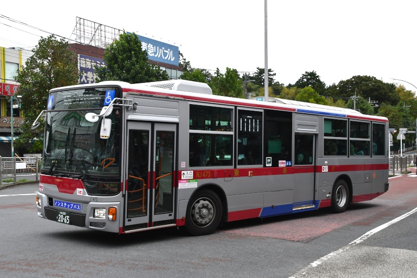 nj473-2.jpg
