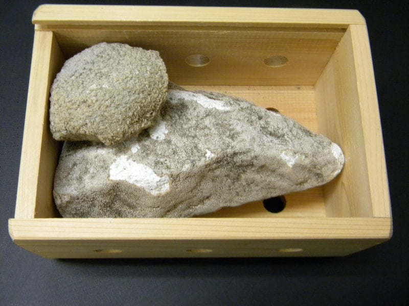安陪鉱石 玉川温泉 玉川の湯華北投石 玉川温泉の北投石 文化遺産オンライン
