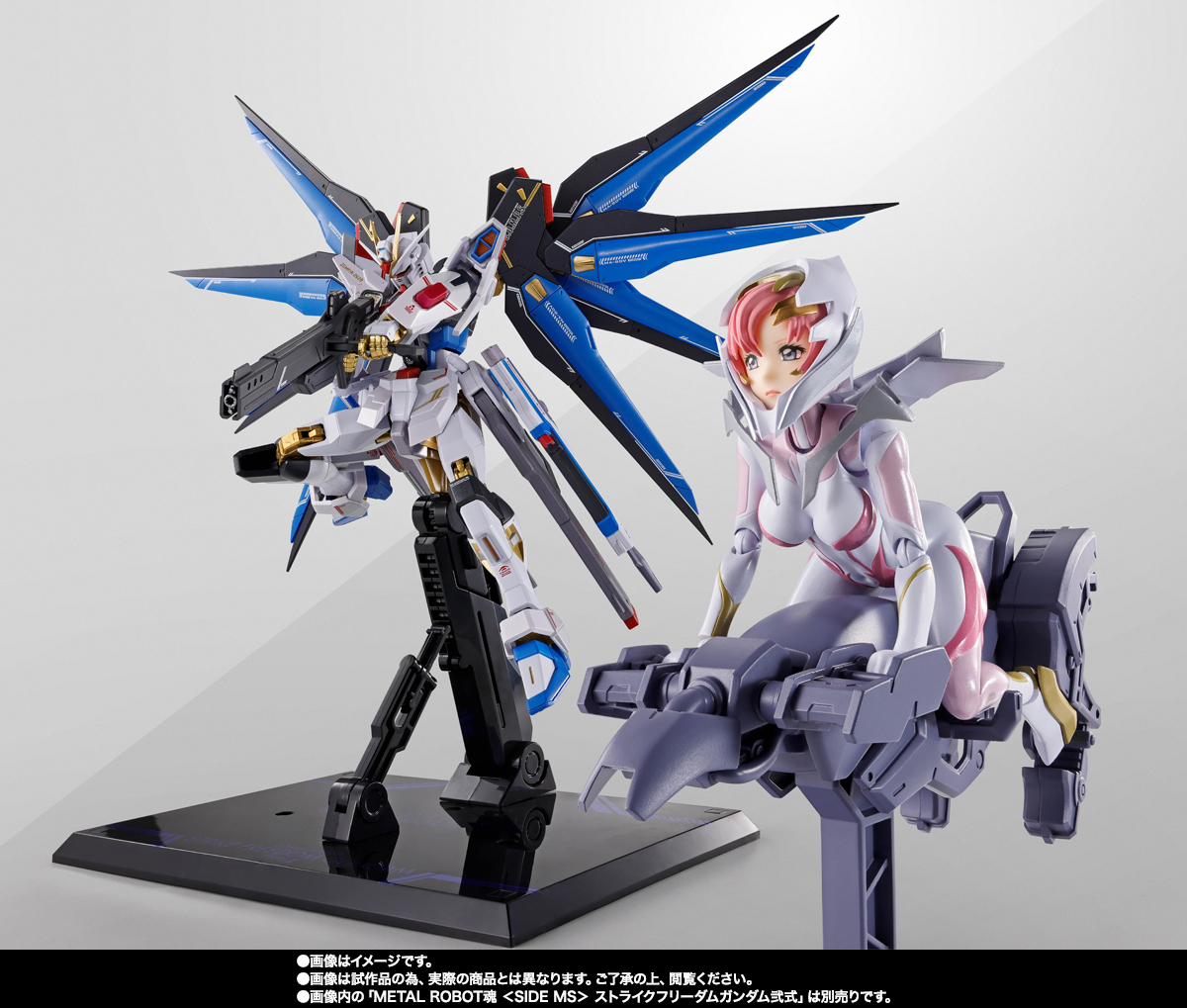 S.H.Figuarts ラクス・クライン（パイロットスーツVer.） ライドオン