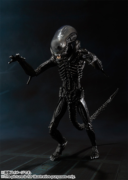 S.H.MonsterArts エイリアン ビッグチャップ | 魂ウェブ