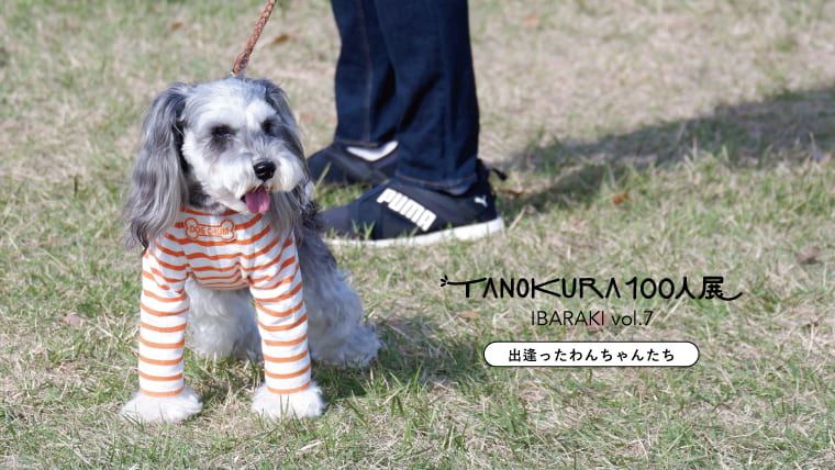 TANOKURA100人展IBARAKIで出逢ったわんちゃんたち｜TANOKURA