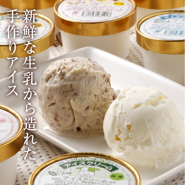 カップアイス10個セット｜乳製品 スイーツ ギフト ｜食べレア北海道