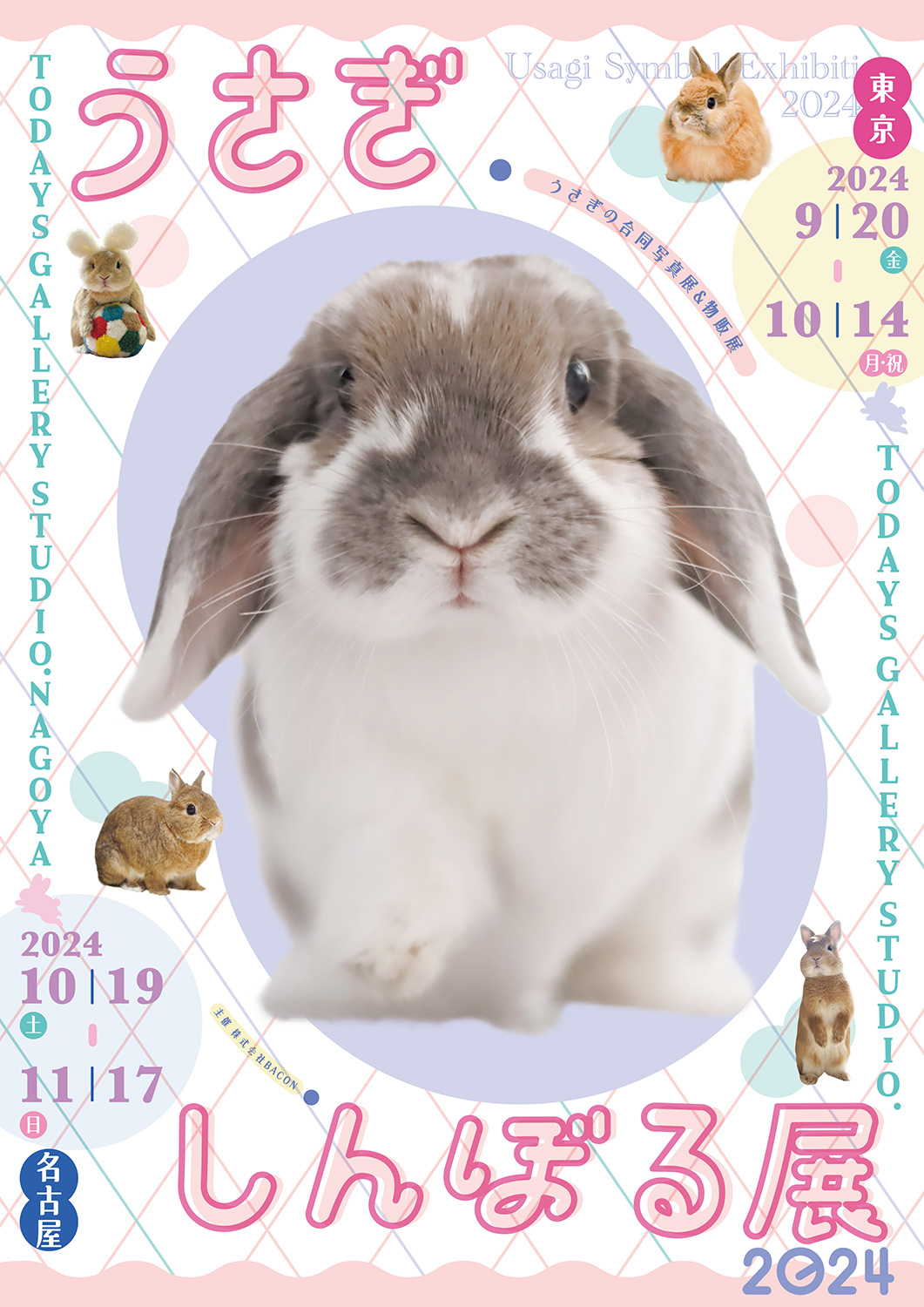 うさぎの合同写真展＆物販展「うさぎしんぼる展 2024」