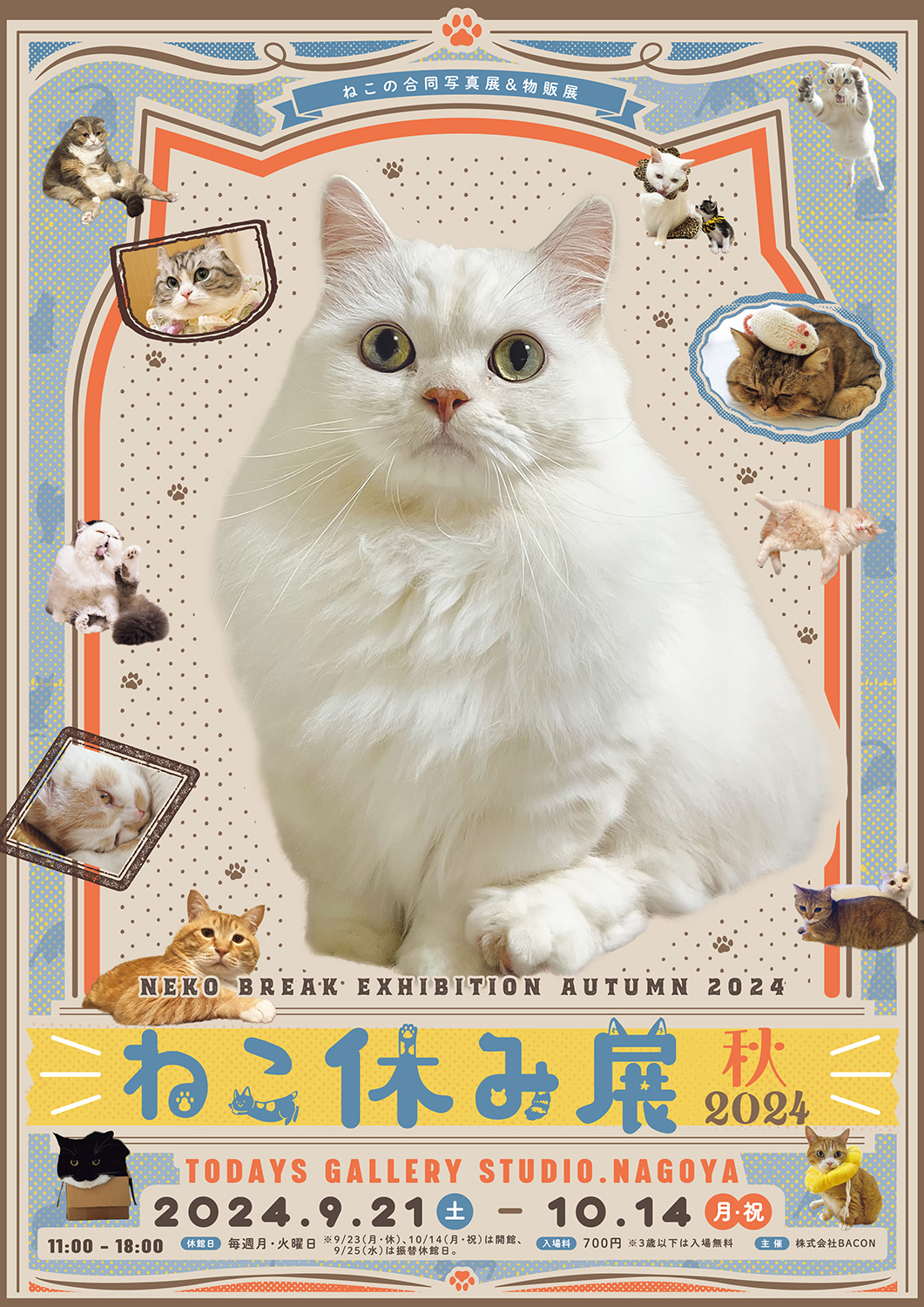 猫の合同写真展＆物販展「ねこ休み展 秋 2024」