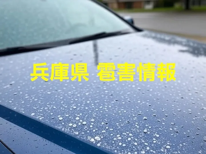 雹害 | 名古屋でスポーツカーのことなら株式会社Tempa