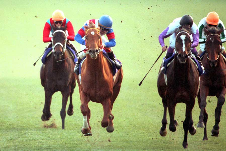 武豊の目を狂わせた4cm差の死闘 決して色褪せない有馬記念の際どすぎる