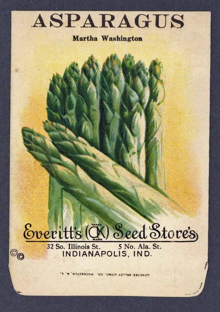 Vintage Seed Packets 1900-1940 – thelabelman