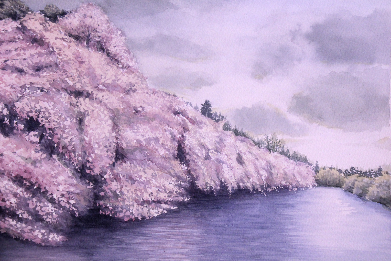 満開の桜 | Yukari.Tanemura ｜インテリア絵画 アートの専門通販