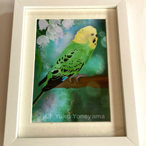 セキセイインコ | 絵画販売 インテリアアート専門通販 This Is Gallery