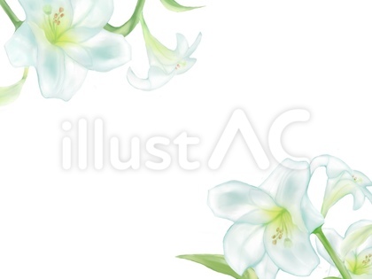 e574fb3e49f25bd4ce18a82b1288e8