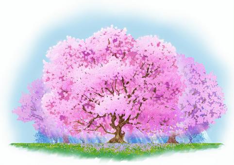 乱れ桜イラスト｜無料イラスト・フリー素材なら「イラストAC」