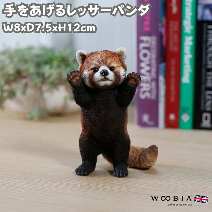 楽天市場】レッサーパンダ 置物の通販
