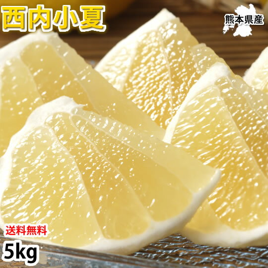 楽天市場】日向夏 10kgの通販