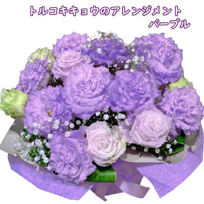 楽天市場】トルコキキョウ 八重 紫（花・ガーデン・DIY）の通販