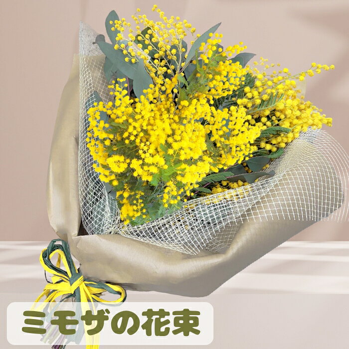 楽天市場】ミモザ 切り花の通販