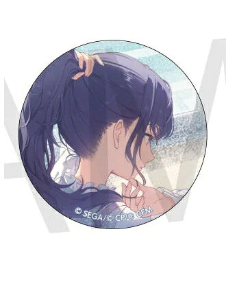 compass1754026391.jpg