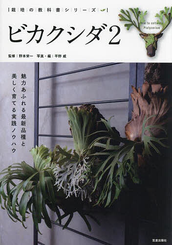 楽天市場】本 ビカクシダの通販