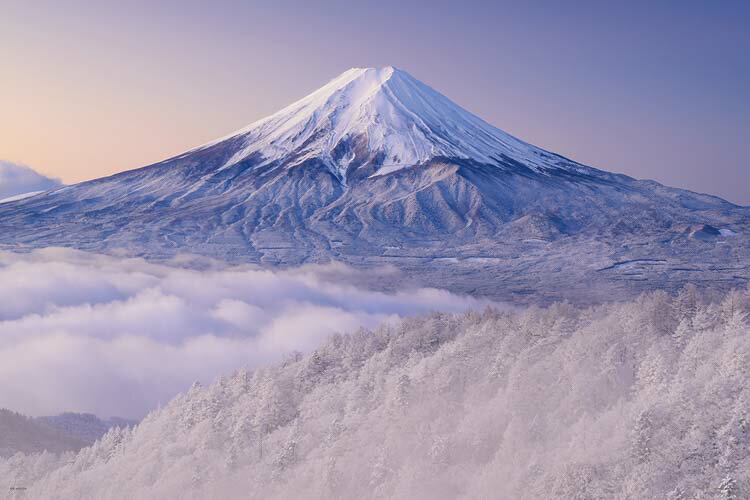楽天市場】ジグソーパズル 2000 富士山の通販