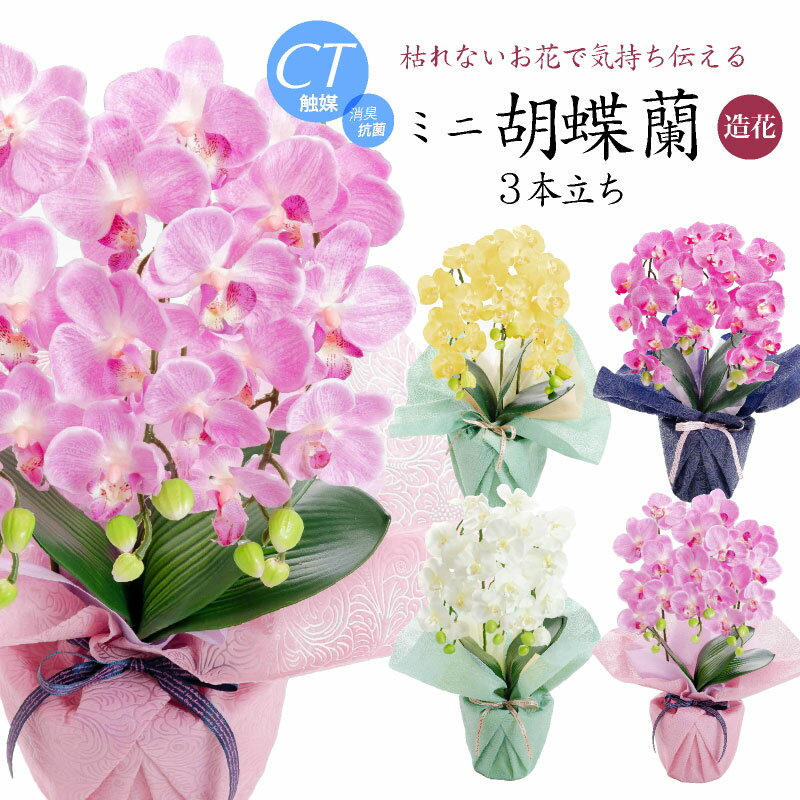 楽天市場】フェイクグリーン 蘭の通販
