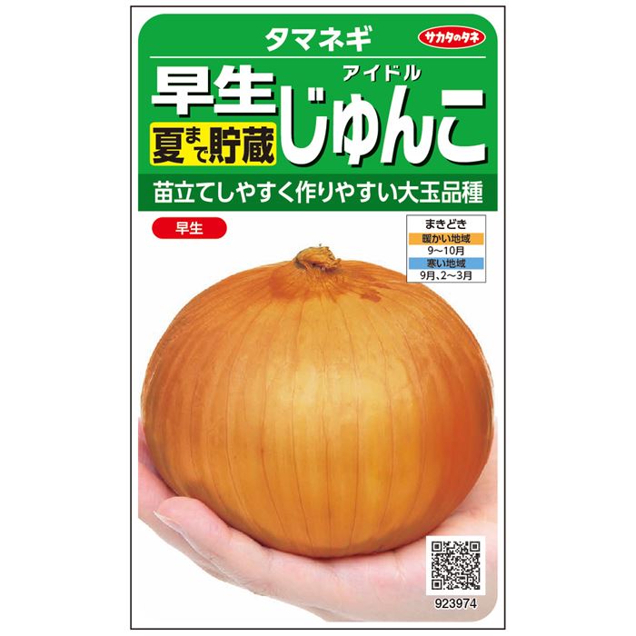 10月に植える玉ねぎの種！食べて美味しい玉ねぎの苗のおすすめ