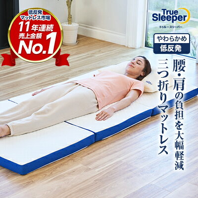 トゥルースリーパー プレミアリッチ クイーンサイズ 低反発 マットレス